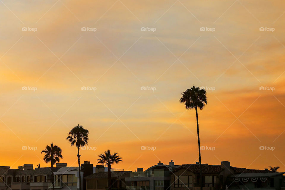 🌅 The Wedge, Newport Beach, CA