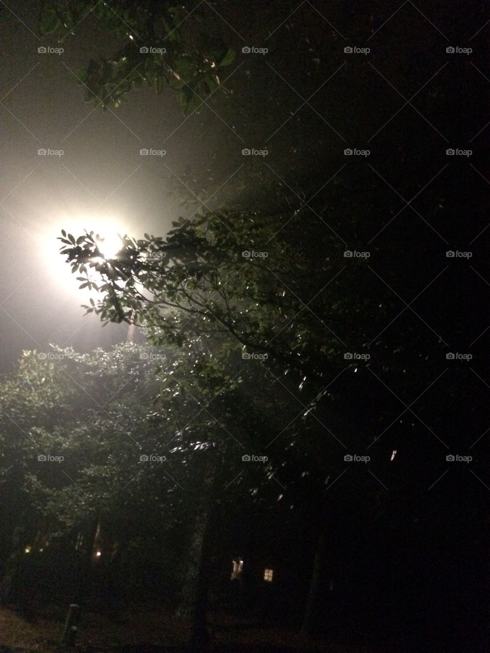 Foggy night.  