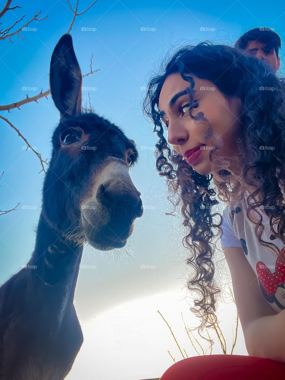 A girl with curly hair and a donkey in the field