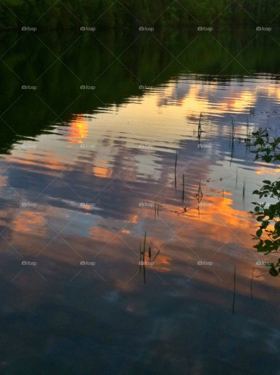 Reflection of clouds