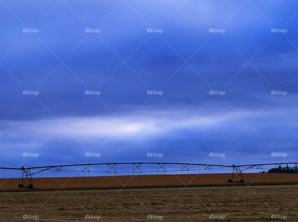 Oregon blue hour in the country