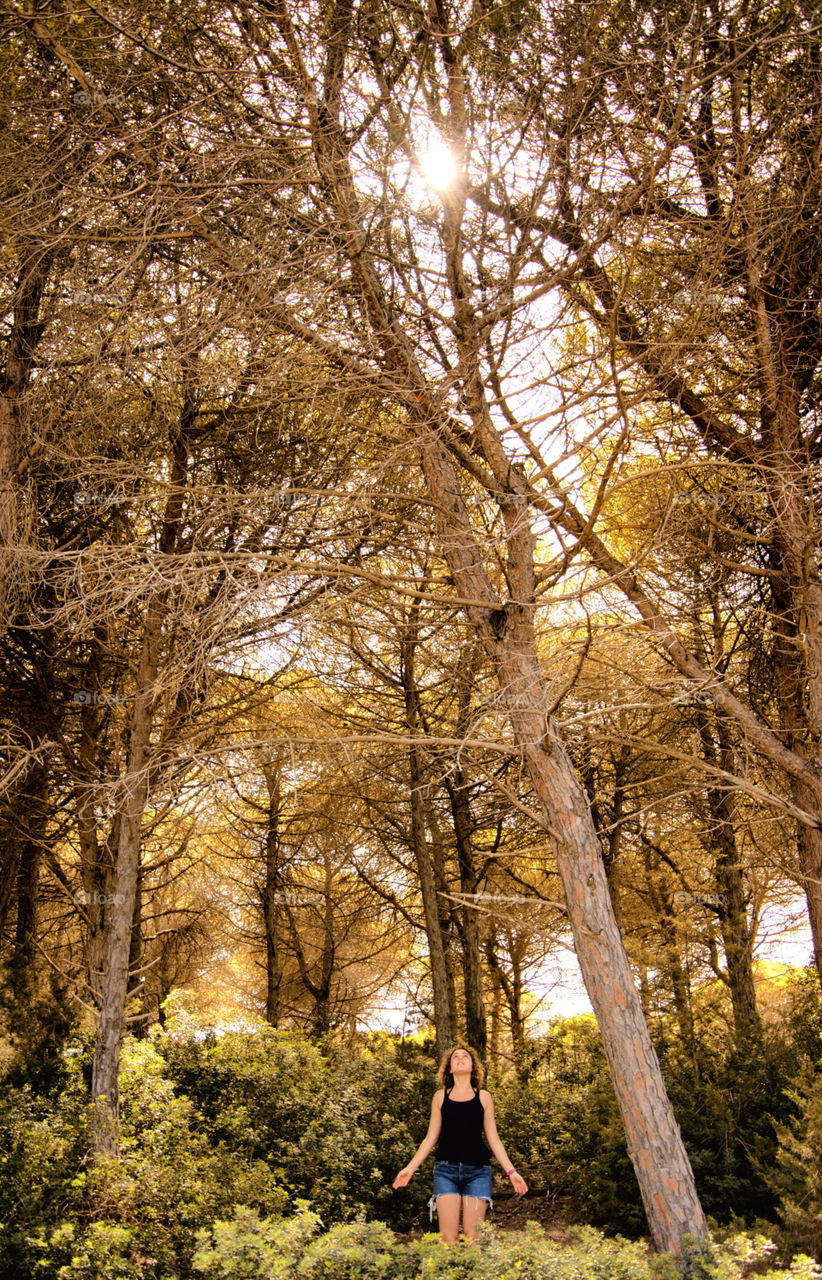 in the forest in autumn 