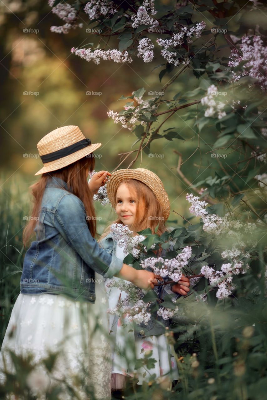 Little sisters in a hat near blossom lilac tree at sunset 