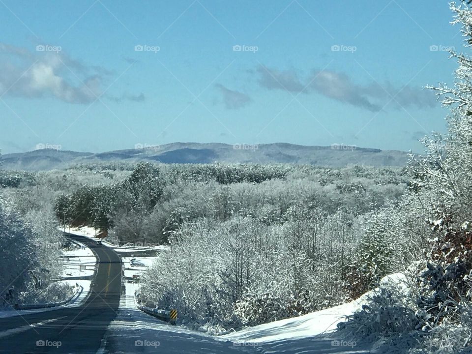 Snow, Winter, Tree, Landscape, Frost