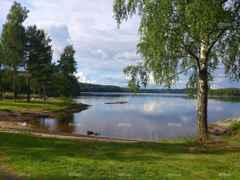 a calm still summerday near a lake