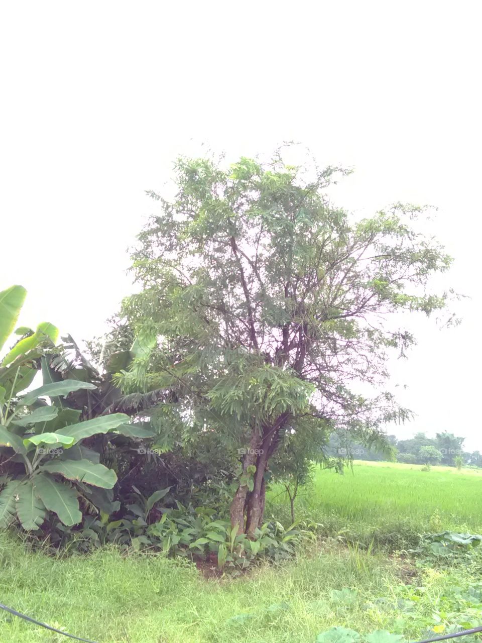 The Garden is the beginning of our daily routine, the Garden feels like it is the experience of Santa.