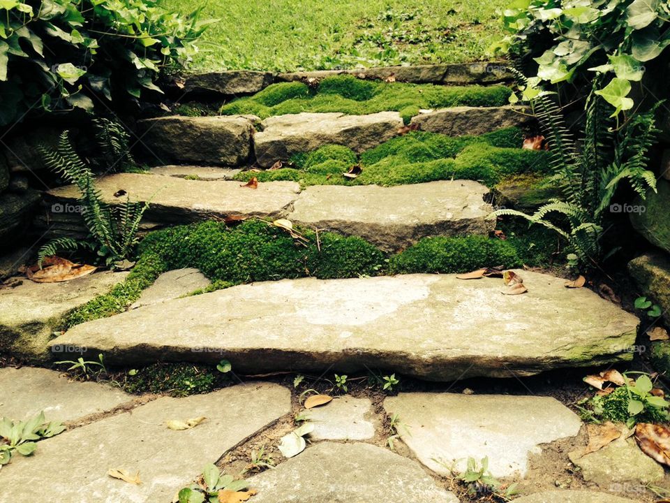 Mossy steps