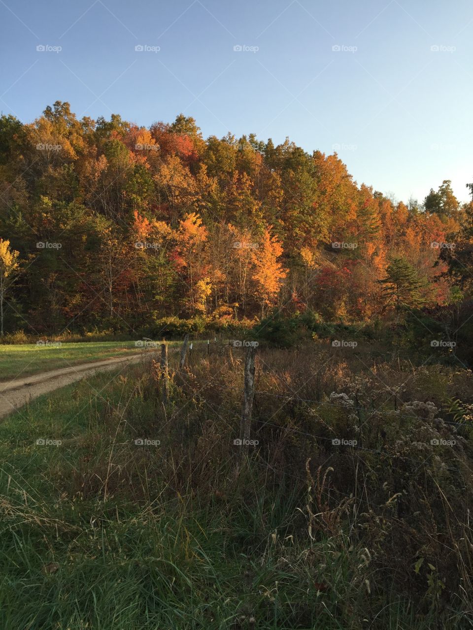 Gravel Road in Fall