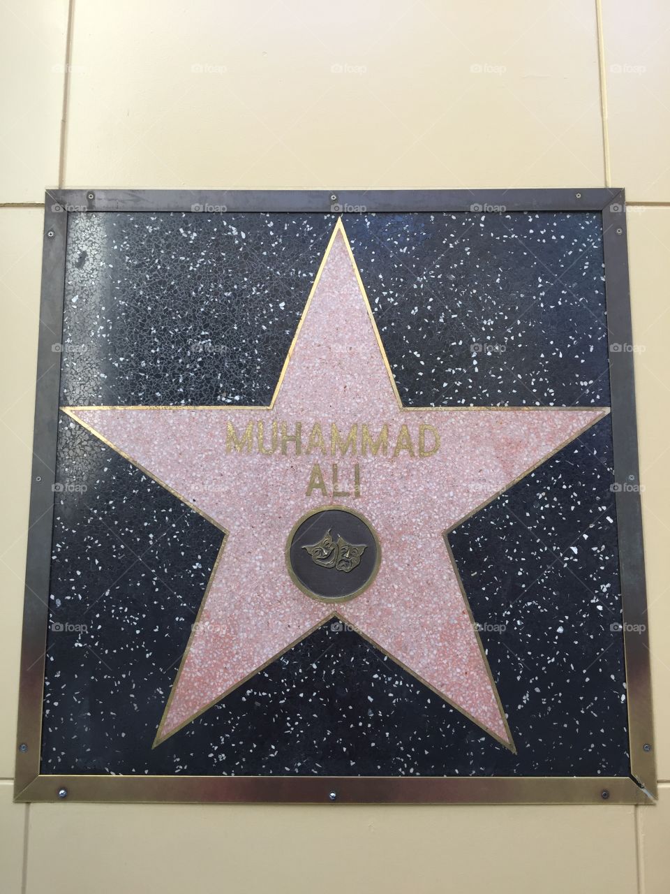 Muhammad Ali
Hollywood
California
Famous 