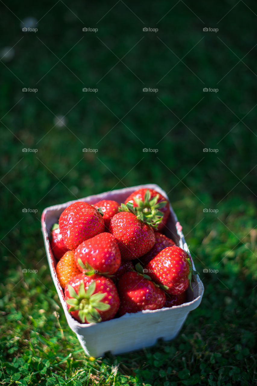 strawberries in a box.