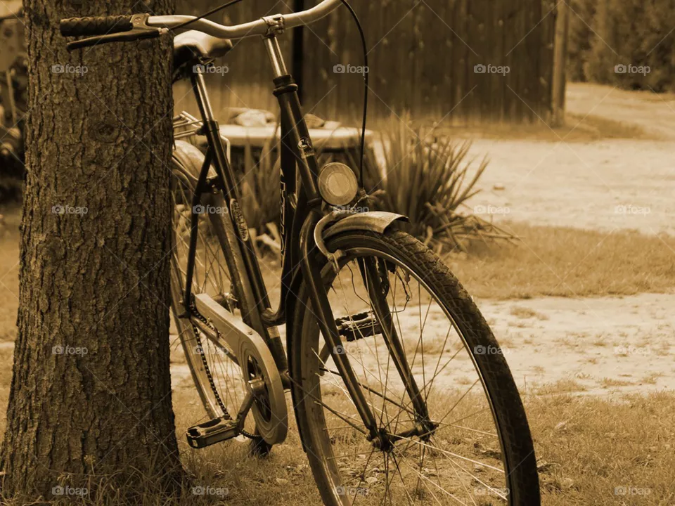Old cyecle