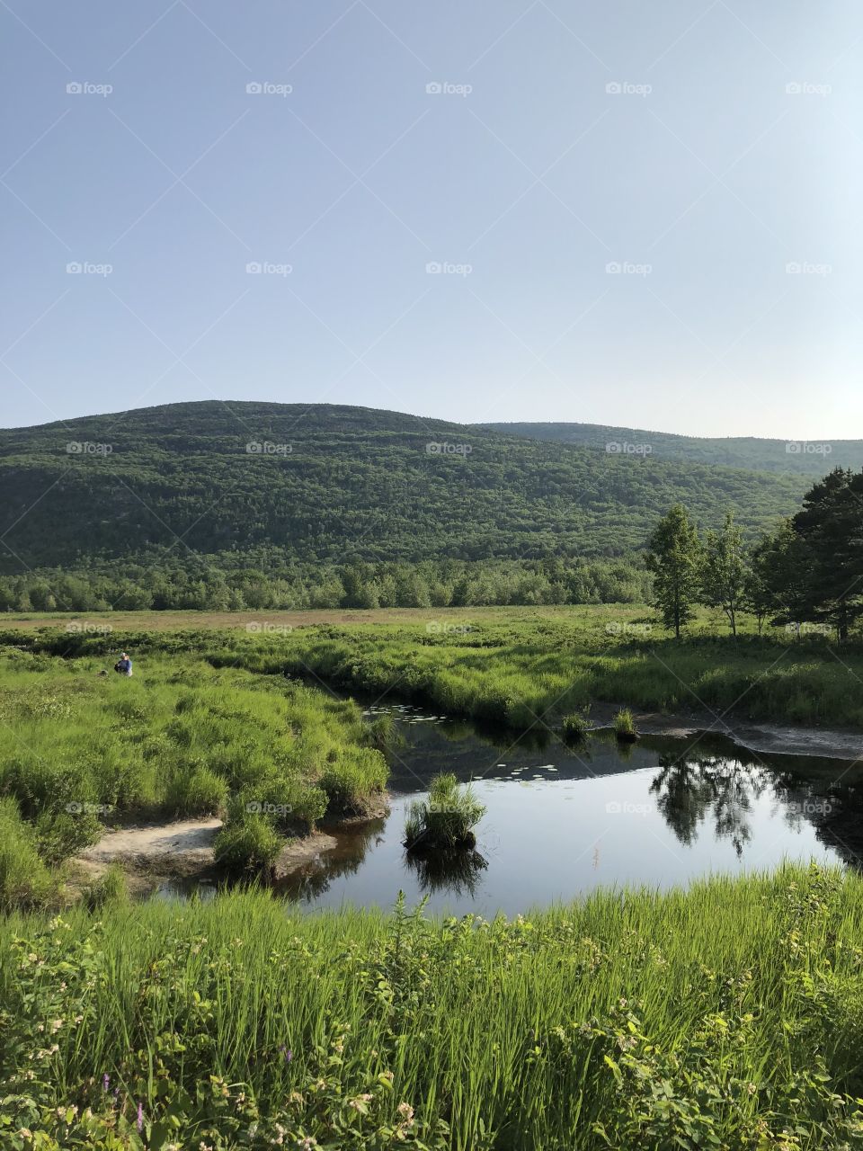 Scenic landscape of green grass and trees surrounding a lake or river in a valley situated between hills and mountains in Acadia National Park in Bar Harbor, Maine USA 