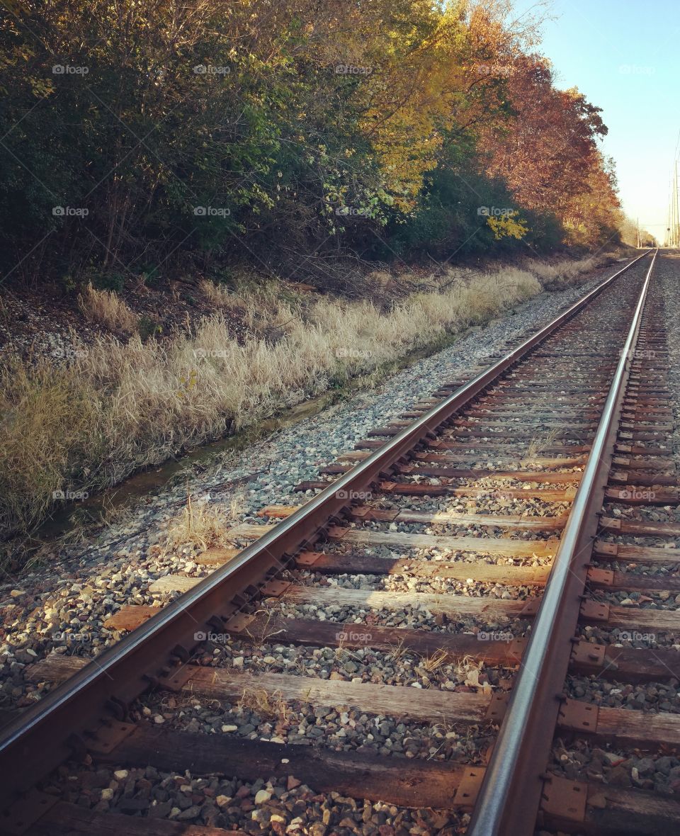 traveling the great wide open