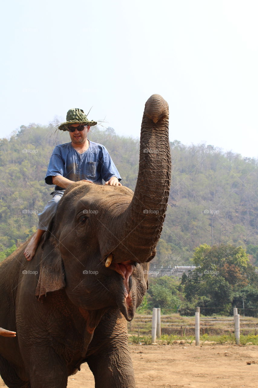 Elephant Rider in Thailand