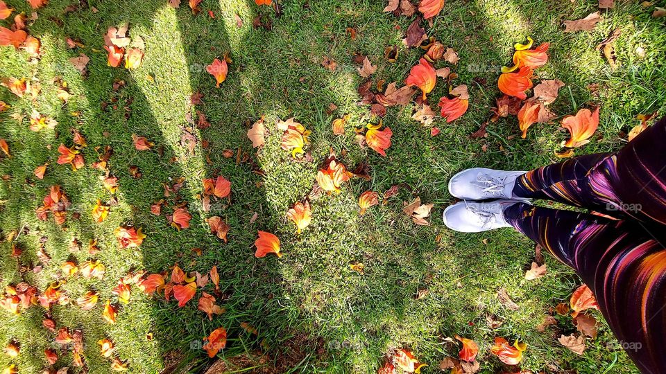 No caminho havia flores, coloridas, alegres e convidativas