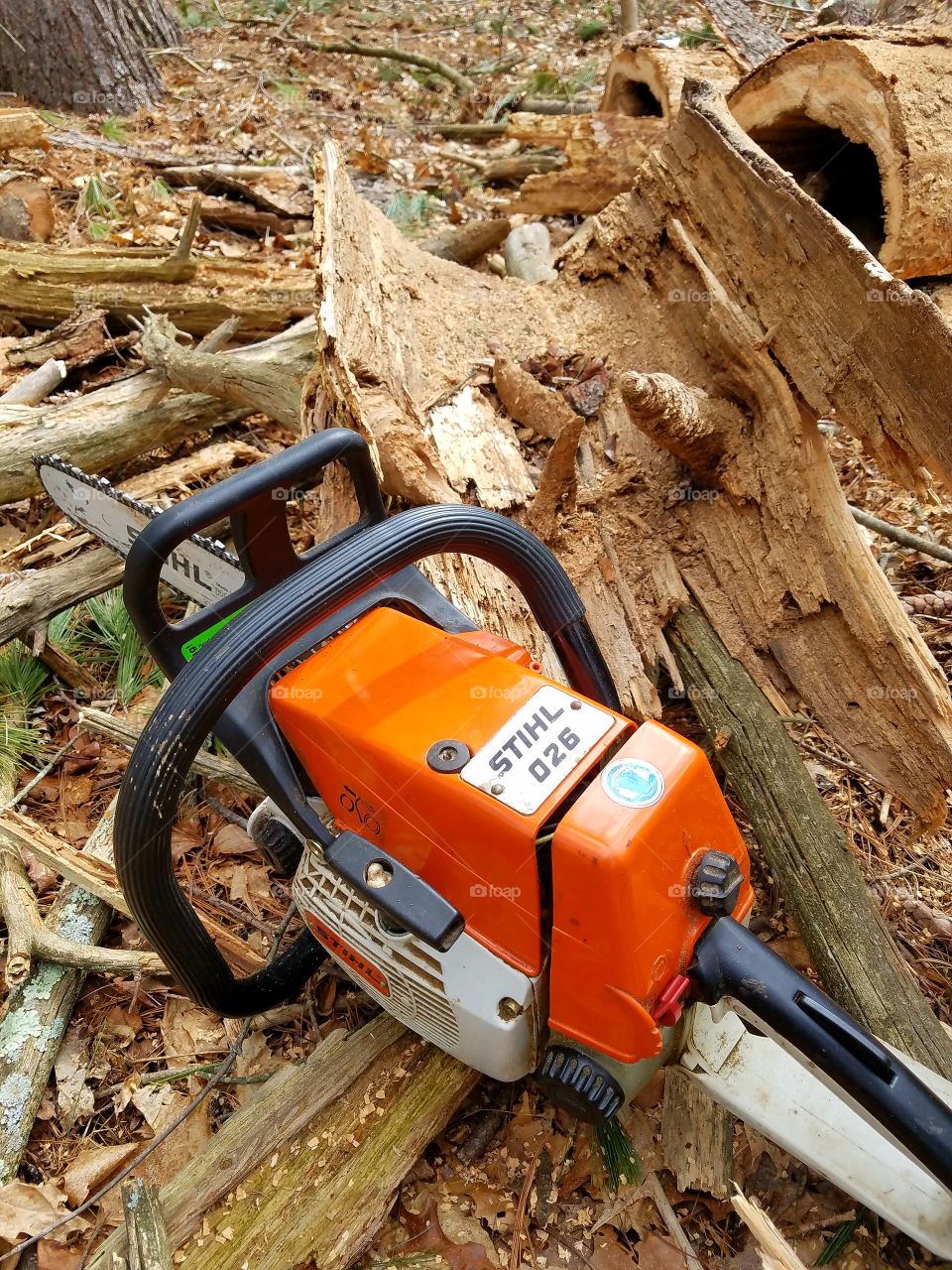 Stihl 026 gas chainsaw after cutting wood in a grove. Older Stihl in excellent working shape.