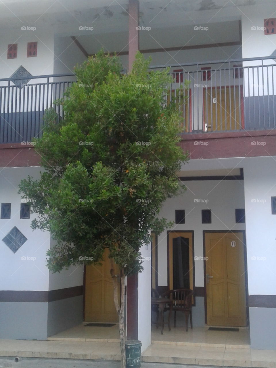 red shoot tree in front of the inn