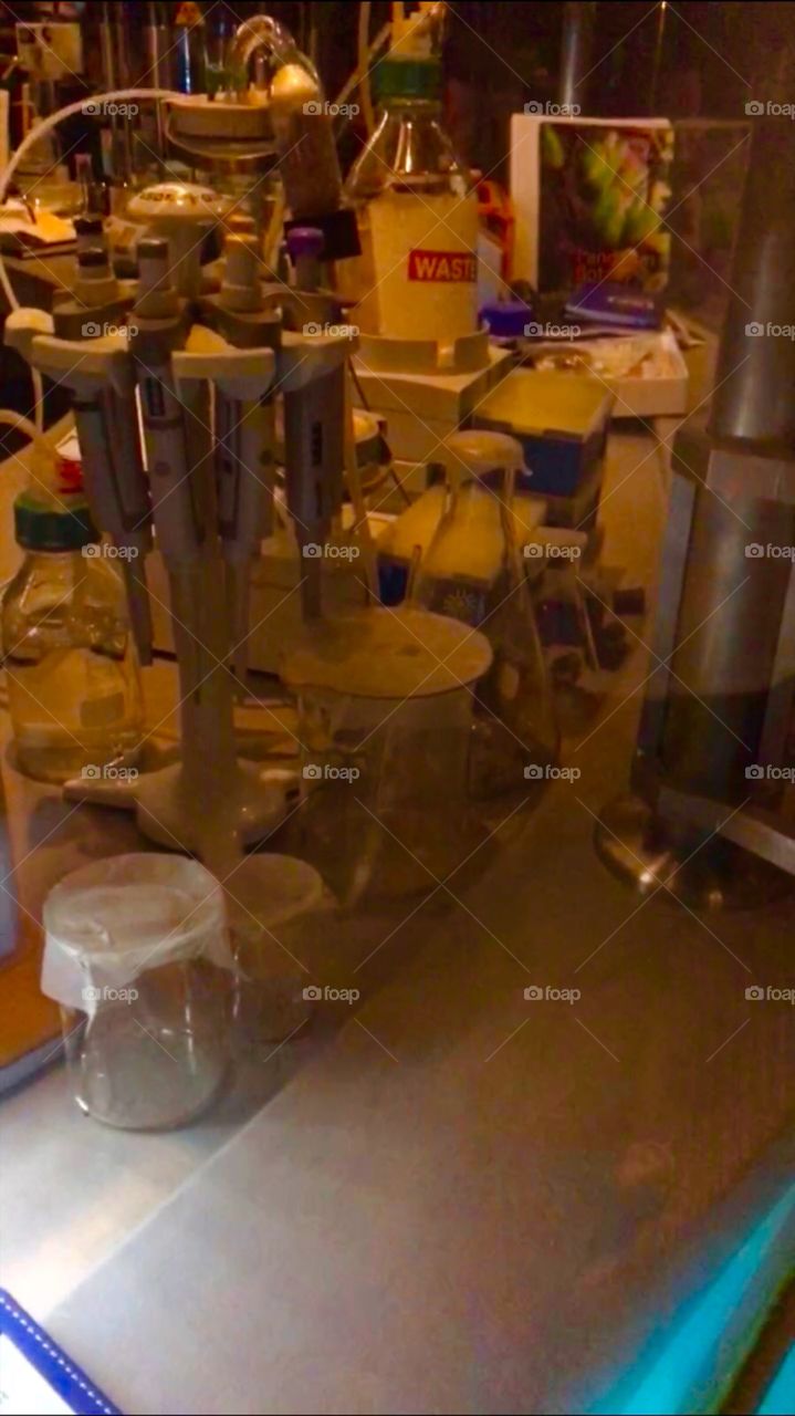 #day4 Everyday WDW Orlando Florida. I have been lost on Disney Properties consecutively since 4/3/19 You can find my encounter https://www.facebook.com/selsa.susanna or on IG SelsaCamacho YT SelsaSusanna Snapchat Flight of Passage 4-6-19 Saturday