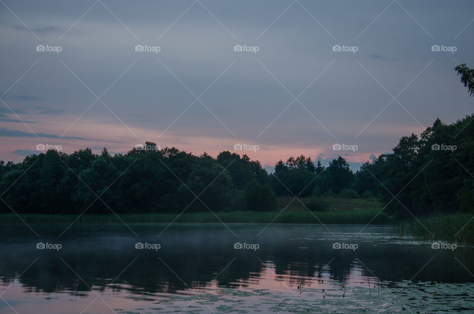 Pink twilight on the lake. Summer landscape.