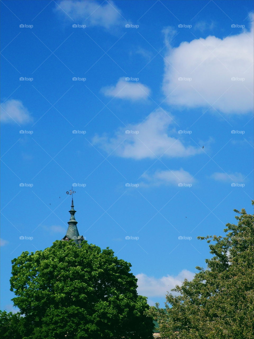 Tower of a building peeking out from behind a tree