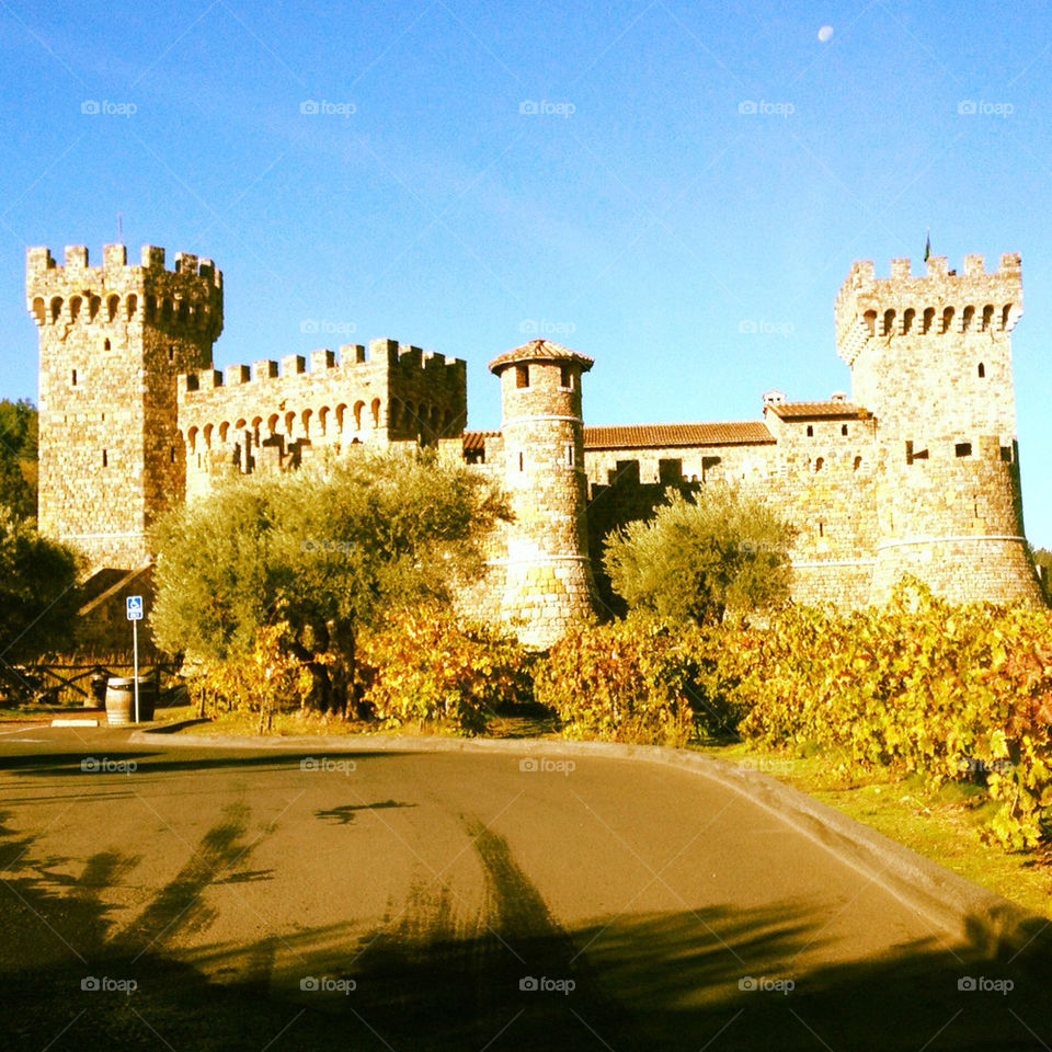 napa valley castle napa valley wine country vineyards fall tuscan fall autumn leaves by crabople