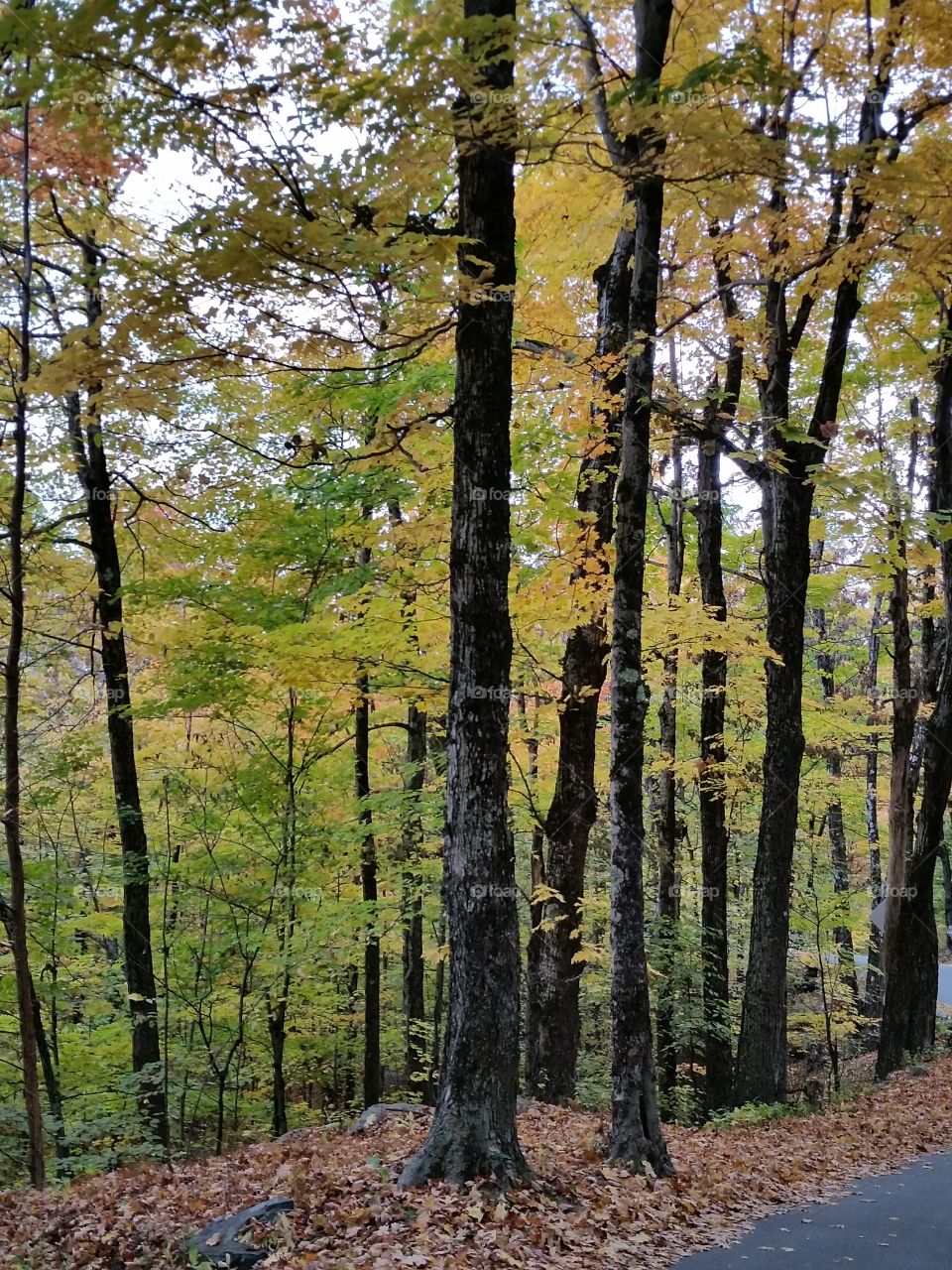 Autumn day in the Mountains