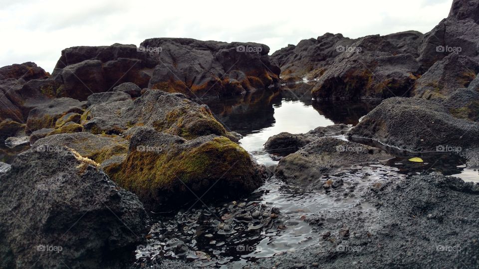 Lava rock at Punalu'u Black Sands Beach, Hawaii