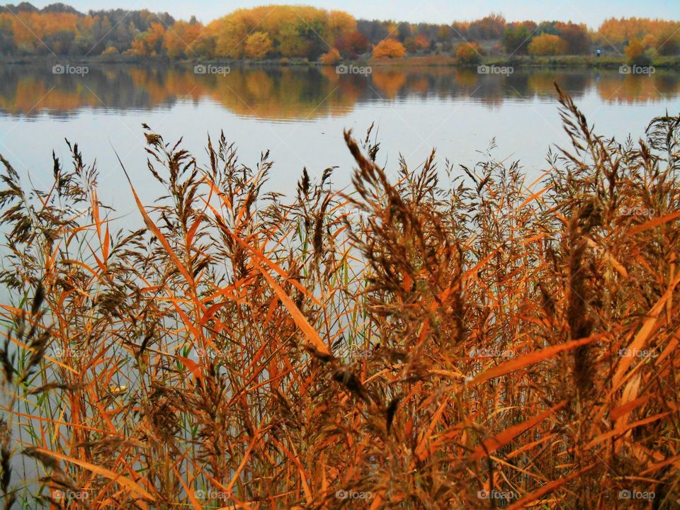 autumn lake