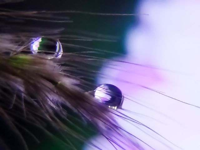 water bubbles