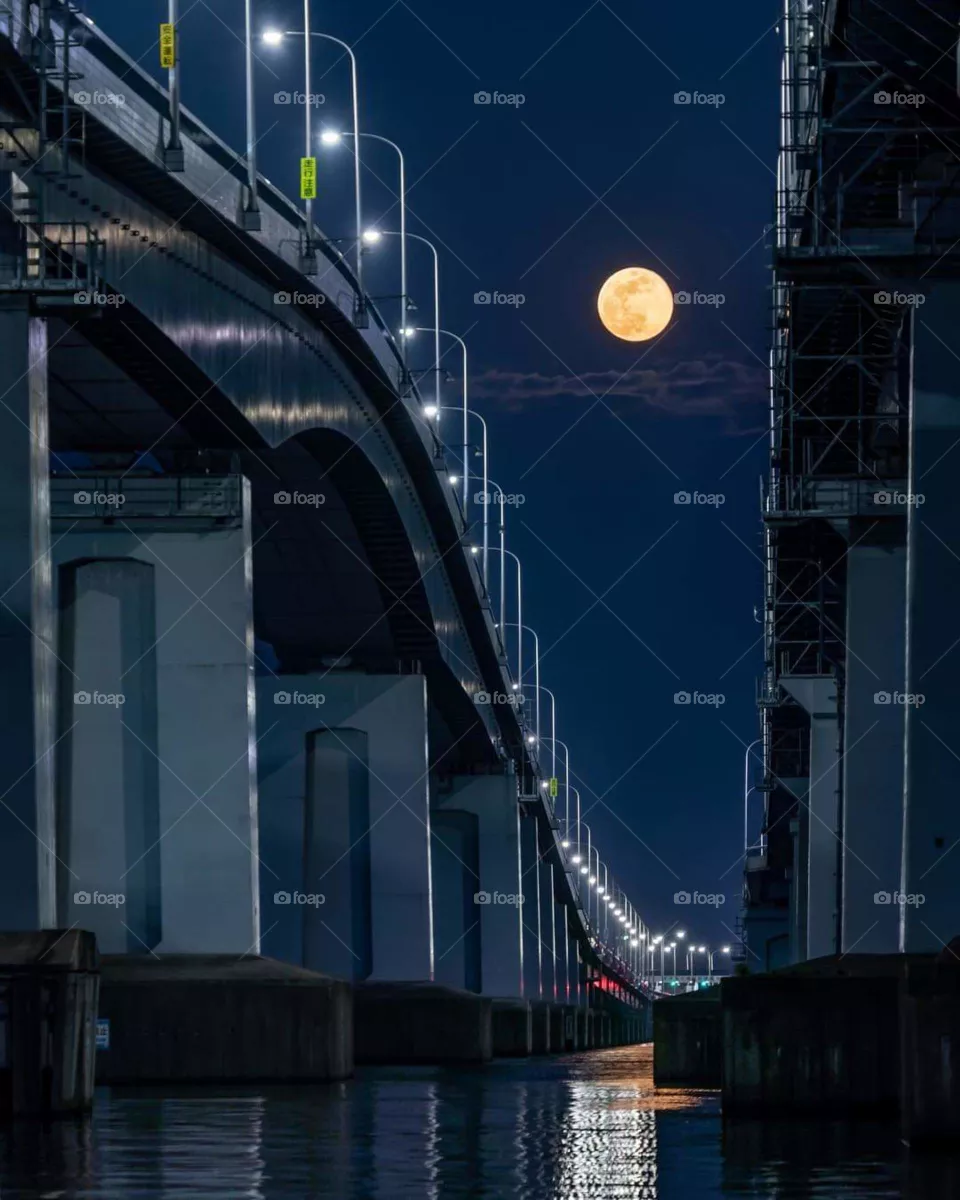 bridge