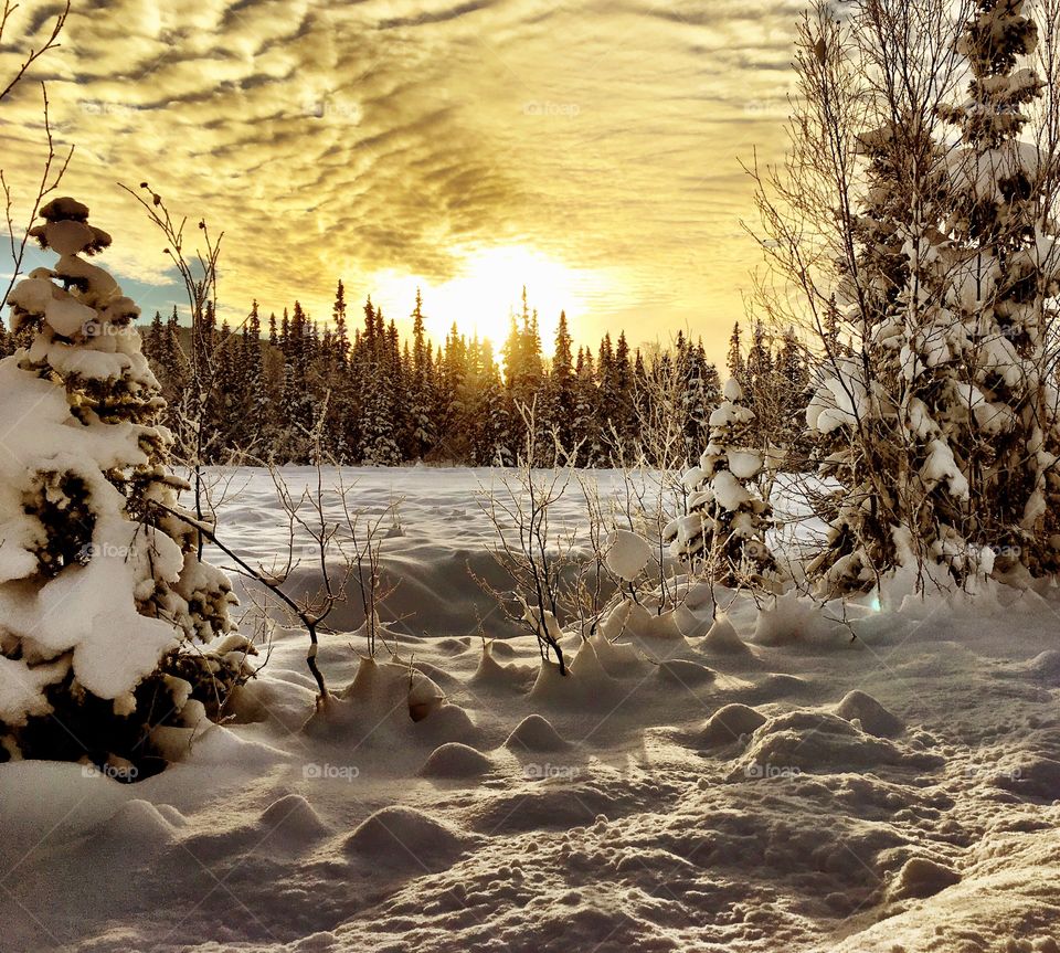 Sunset in snowy landscape