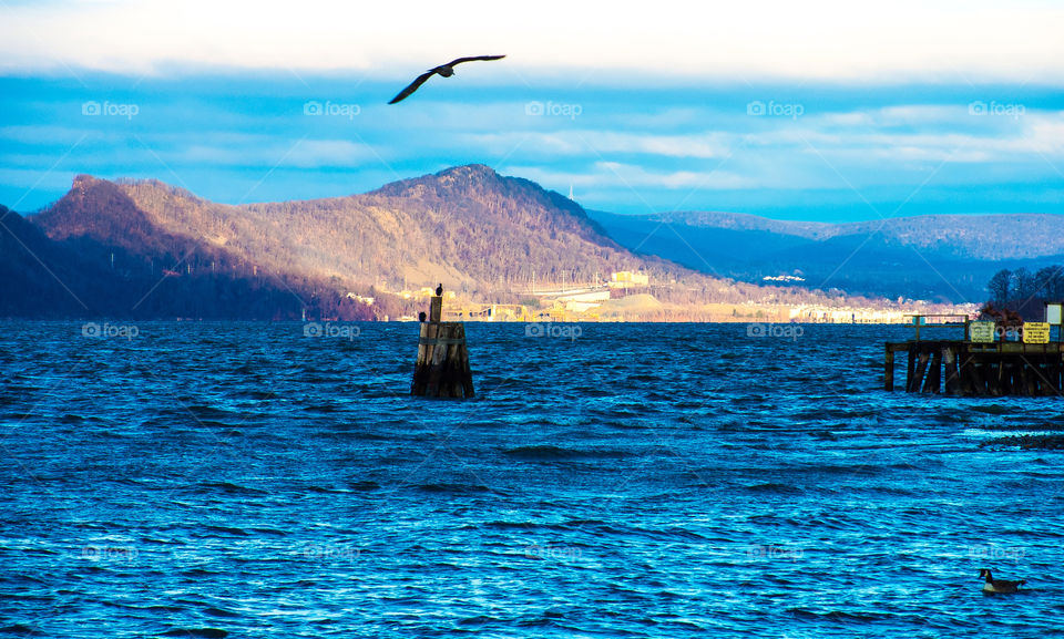 bird mountains hudson river sun light by delvec