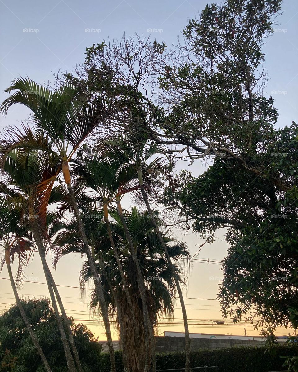 🌄🇺🇸 An extremely beautiful dawn in Jundiaí, interior of Brazil. Cheer the nature! / 🇧🇷 Um amanhecer extremamente bonito em Jundiaí, interior do Brasil. Viva a natureza! 
