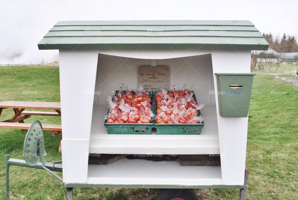 Tomatoes for sale