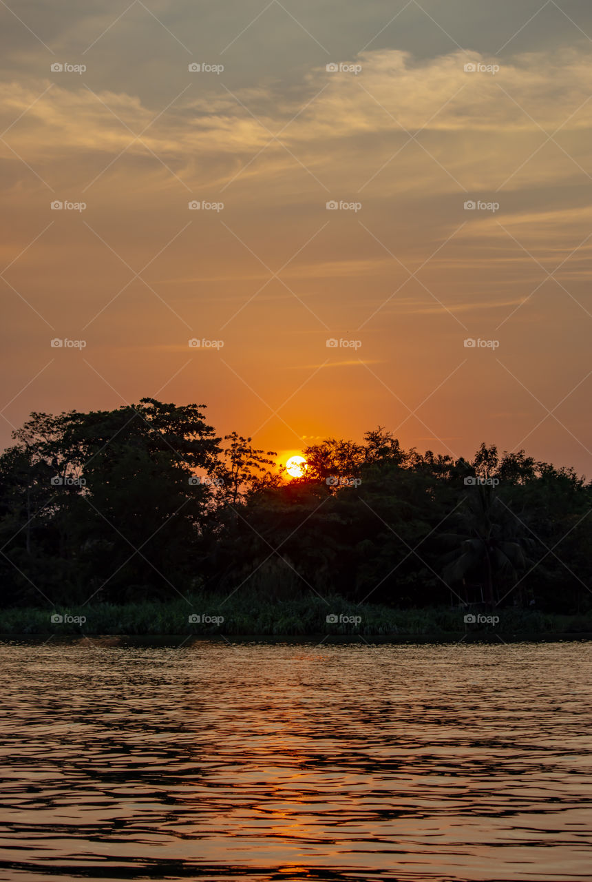 The beauty of a sunset behind a tree and orange sky ,Riverside