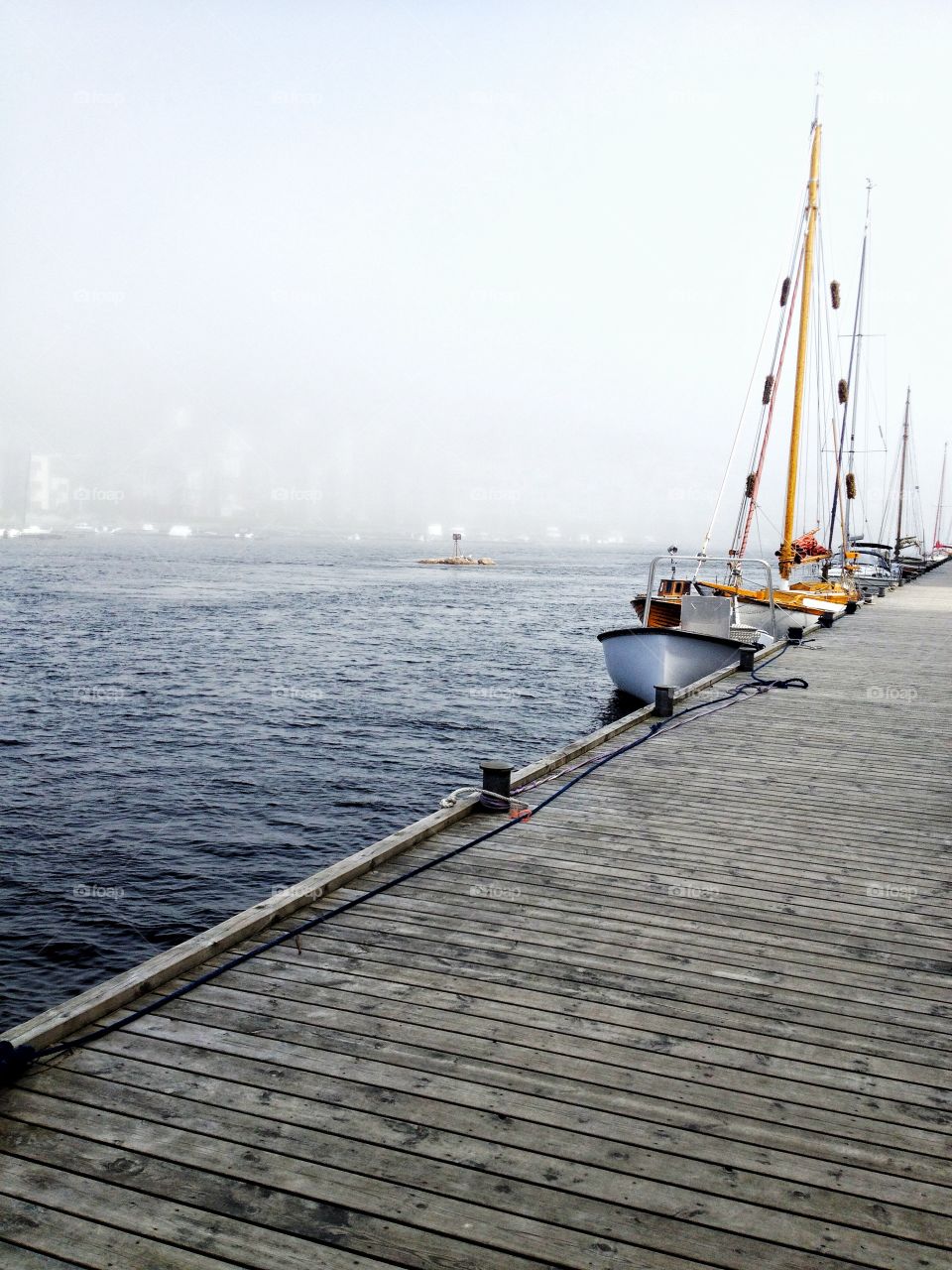 Sea mist