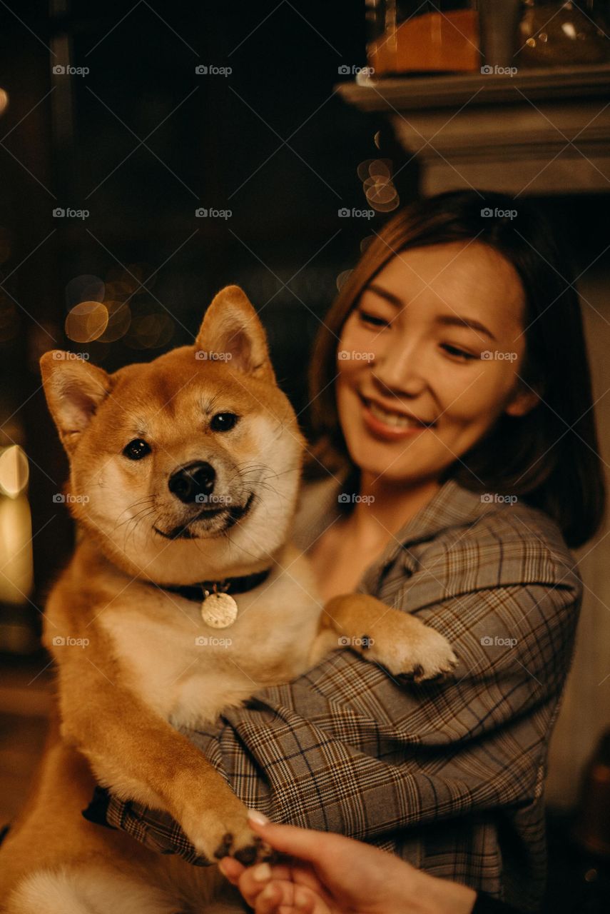 cachorro fofo no colo olhando para frente