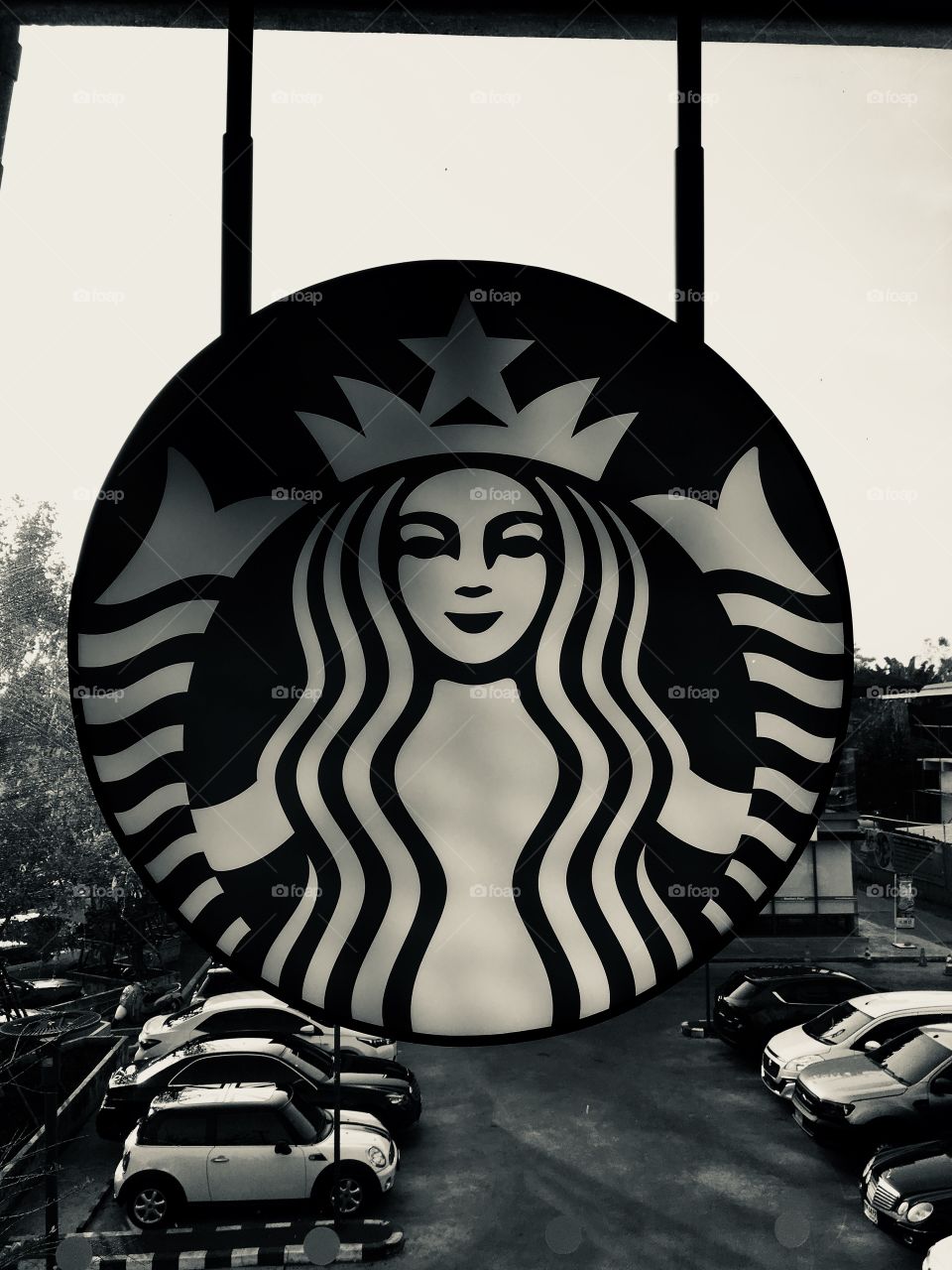 Logo of Starbucks 