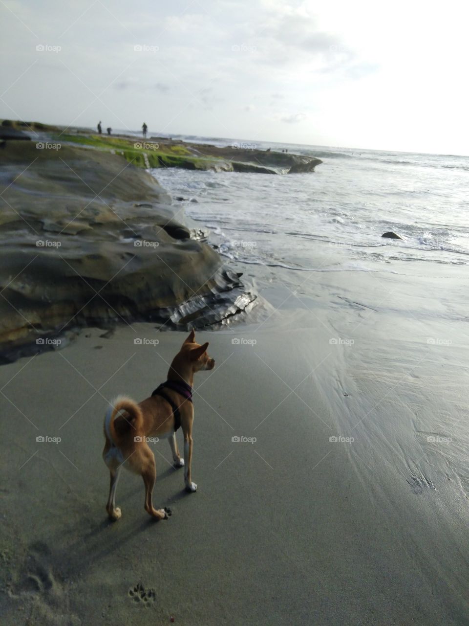 trouble playing at the beach