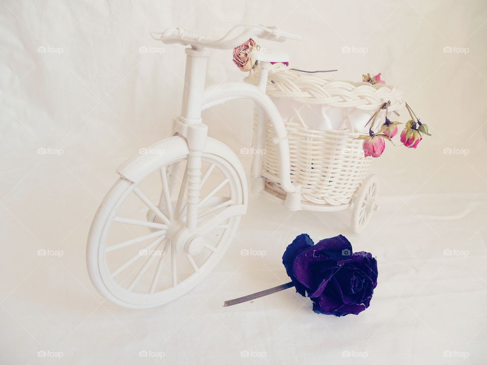 decorative toy bike and dried rose buds