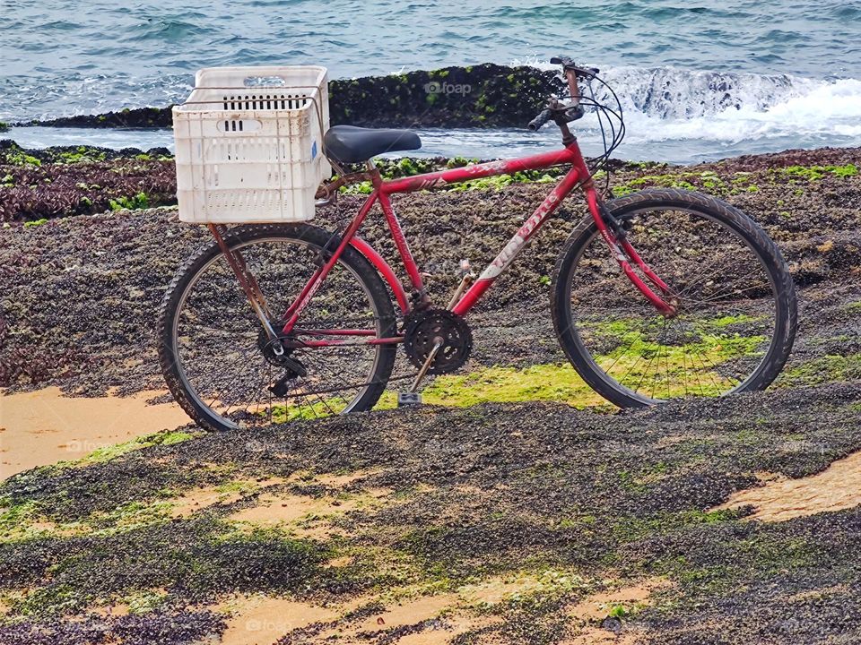 the two circles that form the bicycle.  A bicycle parked on top of the rocks on the beach, while its owner takes a swim in the sea.