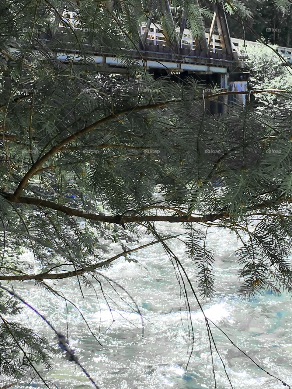 Water Rapids in beautiful British Columbia Canada