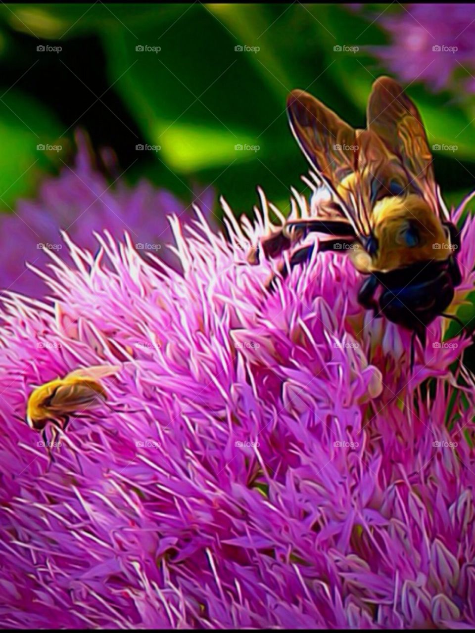 PRETTY BEES