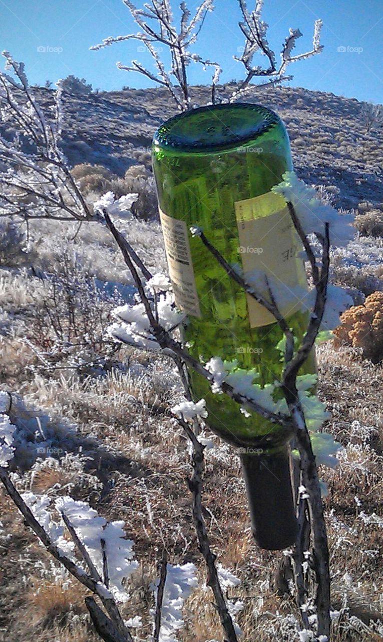 Red wine bottle meet snow flakes and landscape