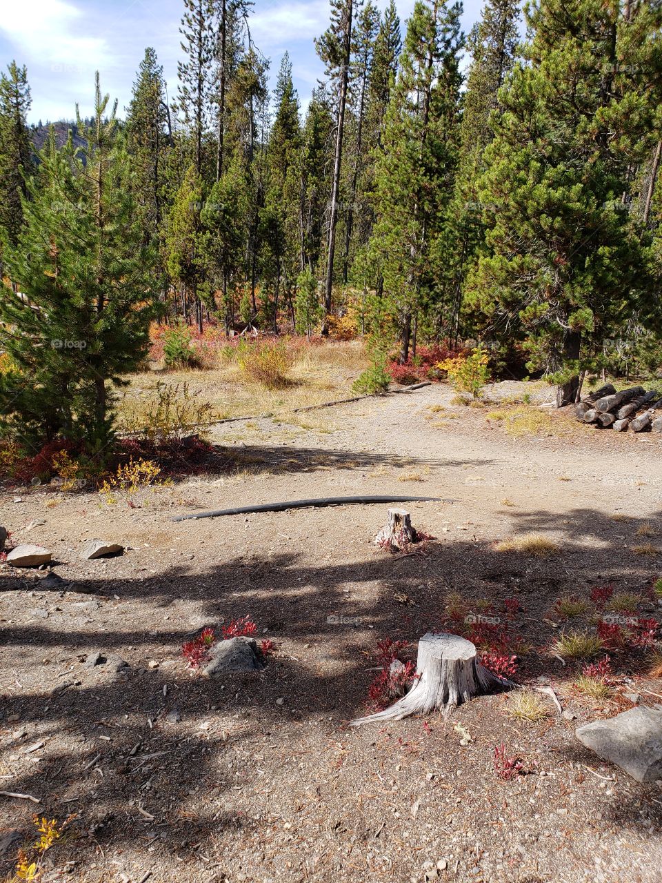 Brilliant fall colors of a landscape on the shores of Elk Lake in Oregon’s Cascade Mountains