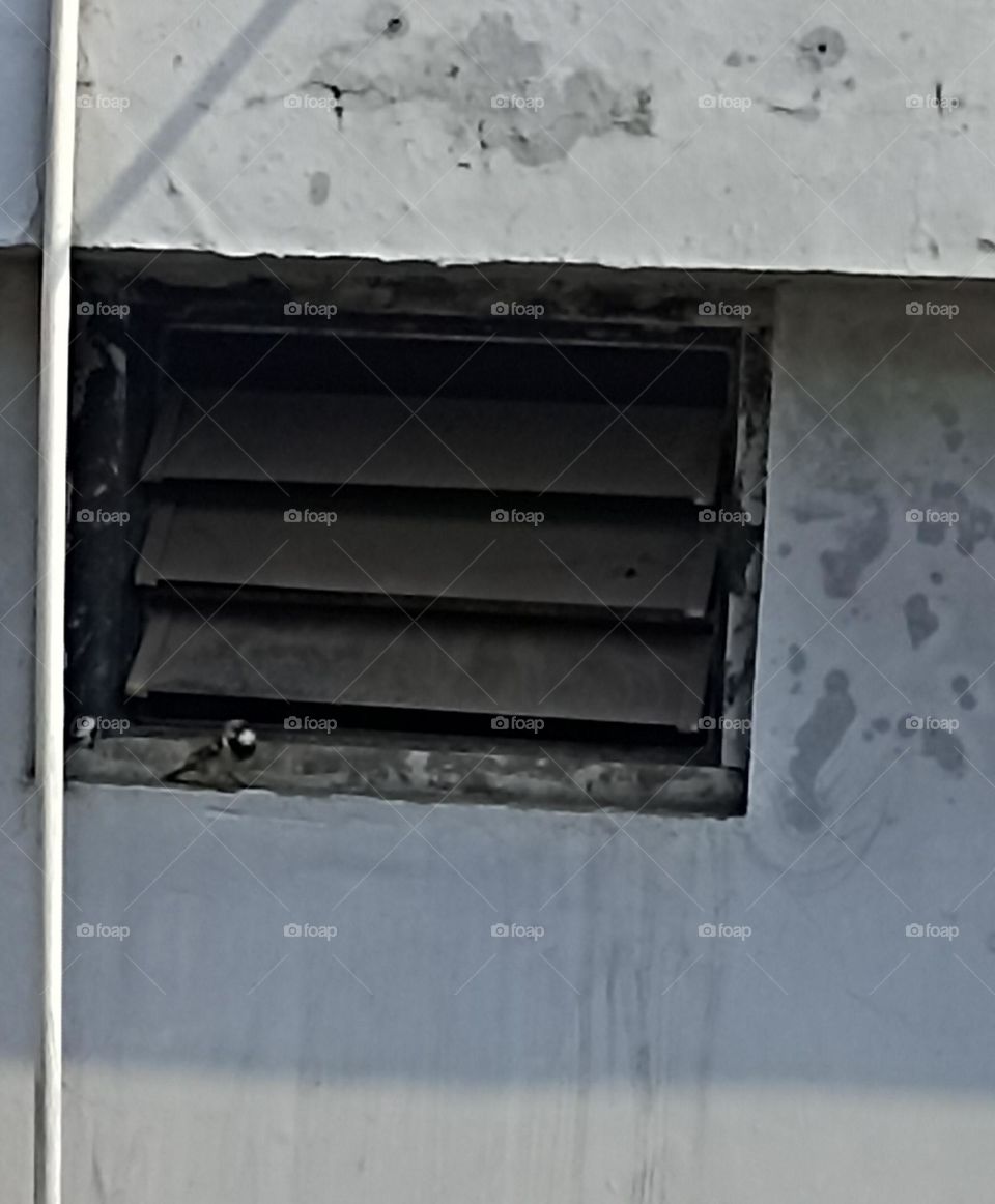 waiting for his partner