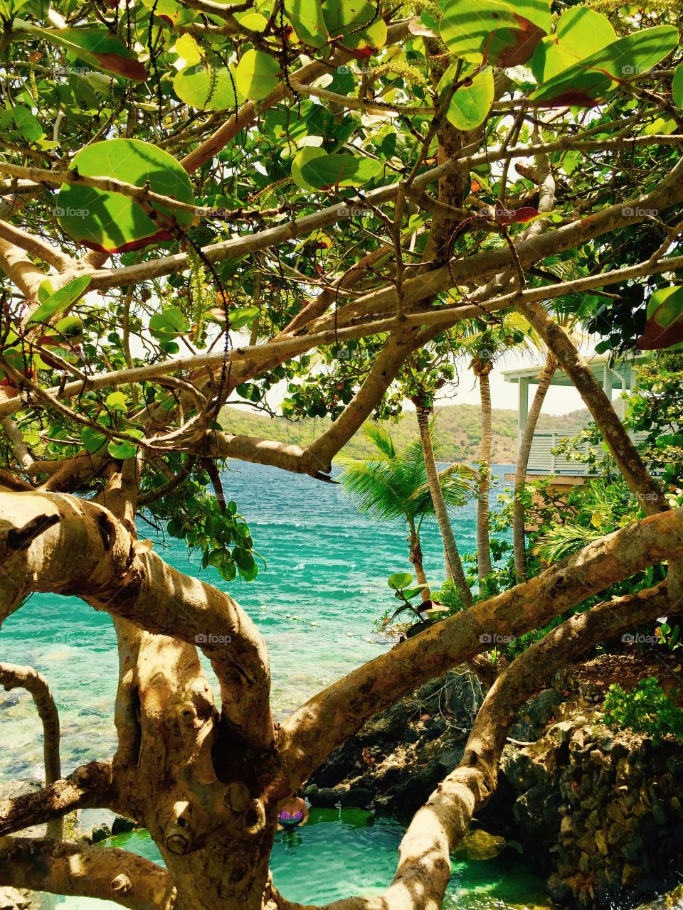 View of caribbean beach