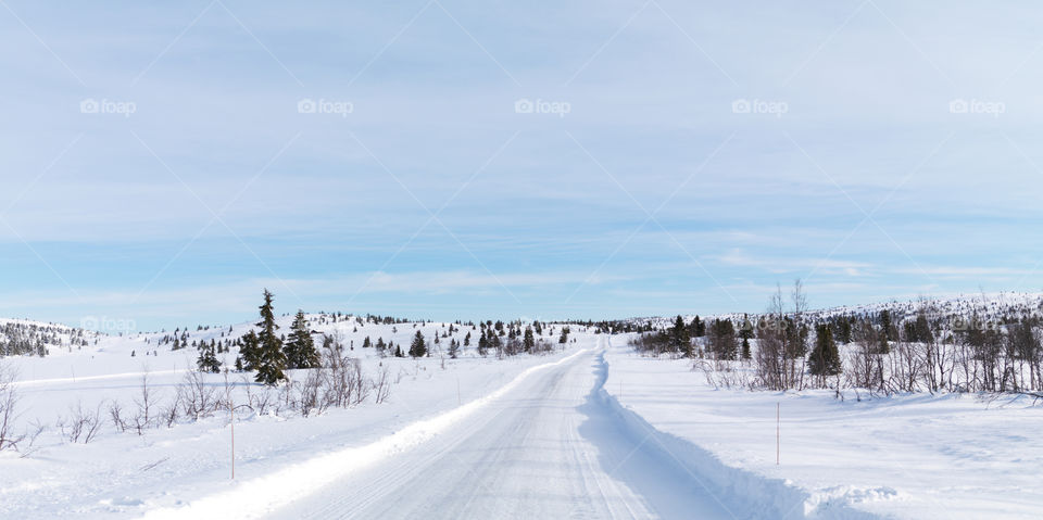 Winter Road