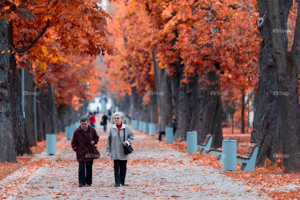 Cluj Napoca Park