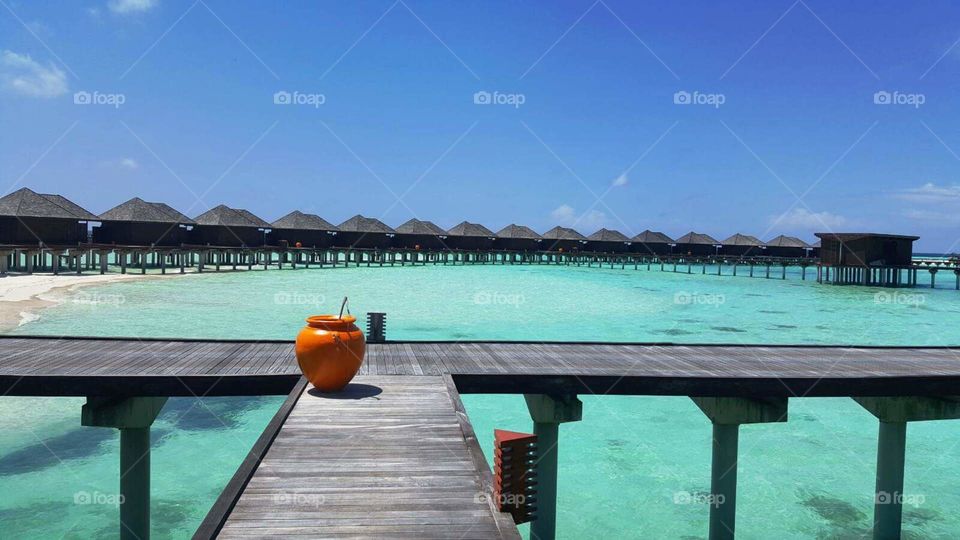 maldives